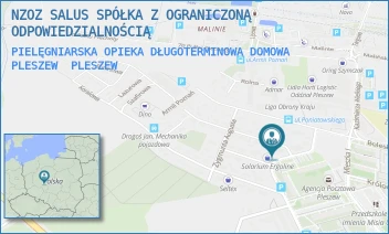 PIELĘGNIARSKA OPIEKA DŁUGOTERMINOWA DOMOWA PLESZEW - NZOZ SALUS SPÓŁKA Z OGRANICZONĄ ODPOWIEDZIALNOŚCIĄ - JANA III SOBIESKIEGO 34, PLESZEW