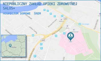 HOSPICJUM DOMOWE - NIEPUBLICZNY ZAKŁAD OPIEKI ZDROWOTNEJ SALUS+ - JÓZEFA CHEŁMOŃSKIEGO 1,  ŚREM